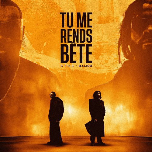 Pochette de Tu me rends bête
