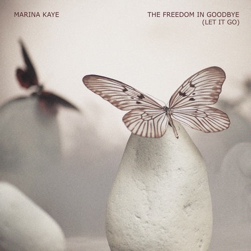 Pochette de The freedom in goodbye