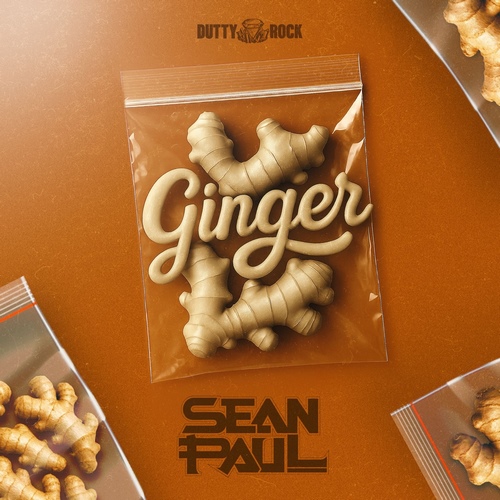 Pochette de Ginger