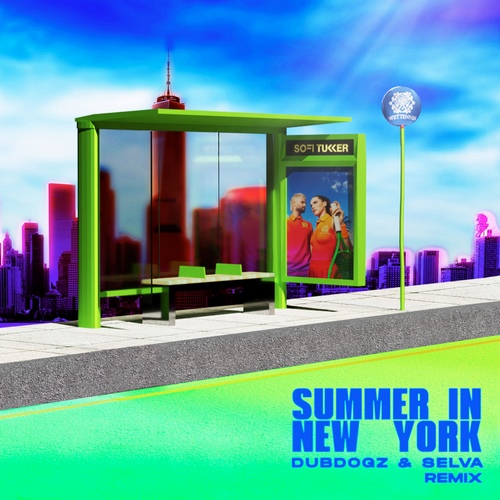 Pochette de Summer In New York (Dubdogz & Selva Remix)