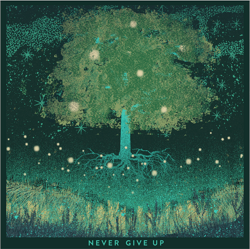 Pochette de Never Give Up