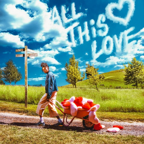 Pochette de All This Love