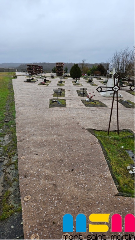 Végétalisation du cimetière